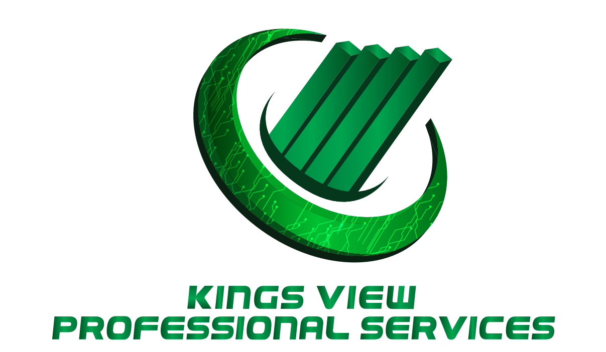 Kings View Professional Services - Catalyst Program